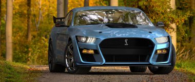 Ford Mustang Shelby GT500